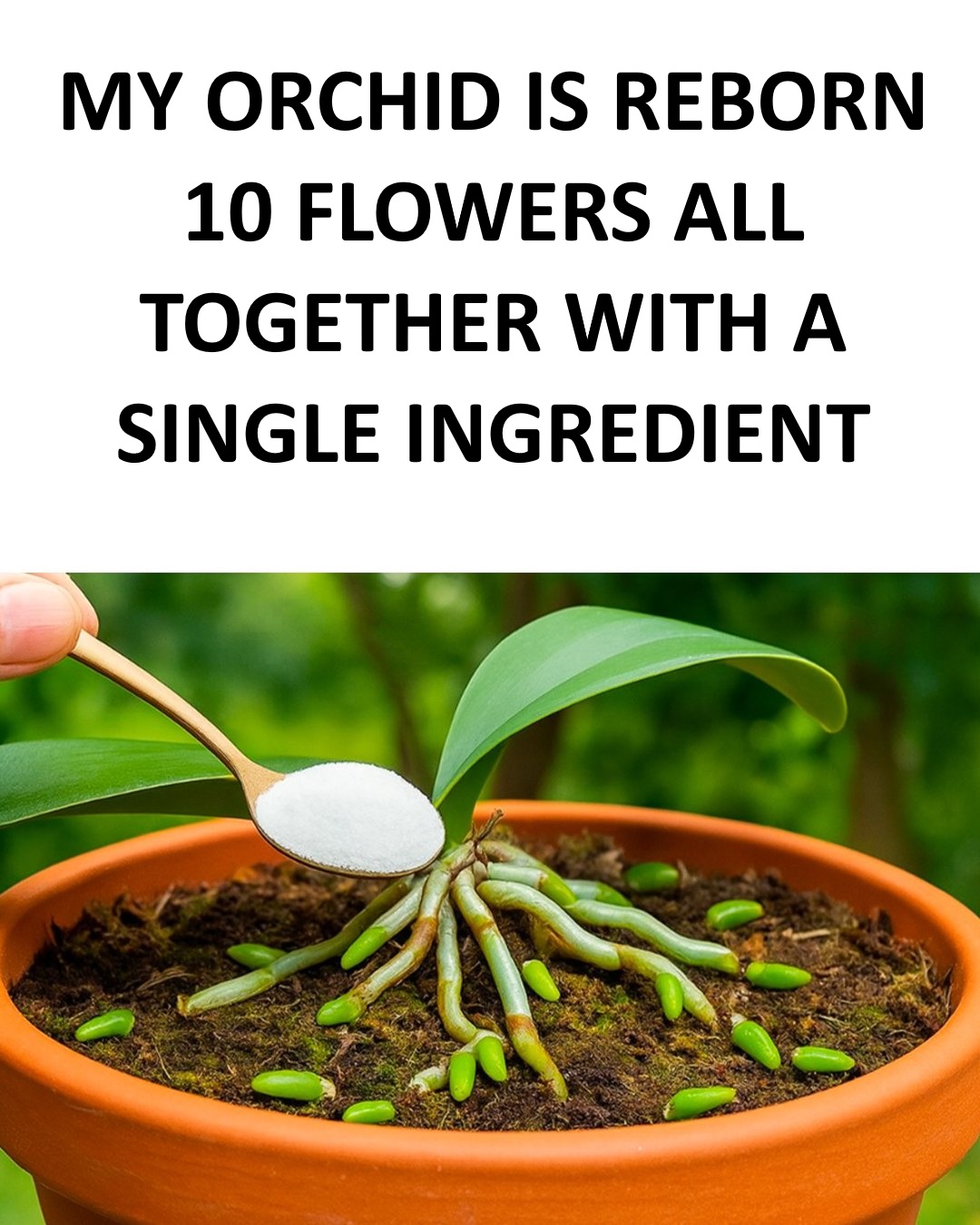 10 (2)