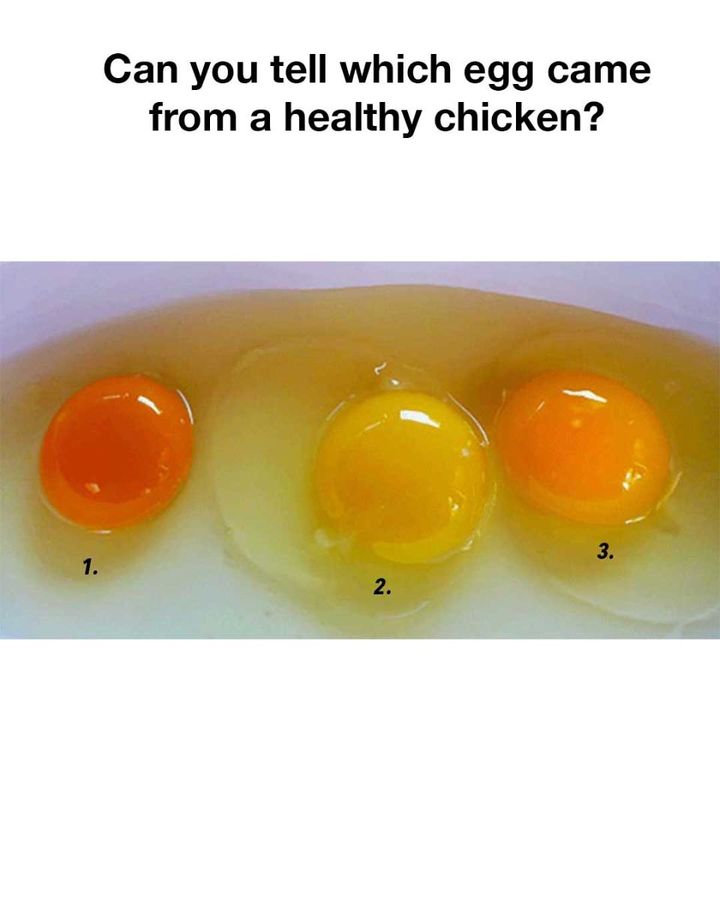 30 36