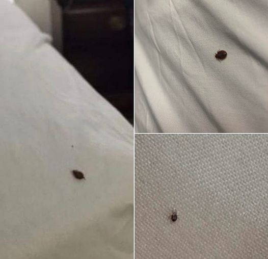 39 37