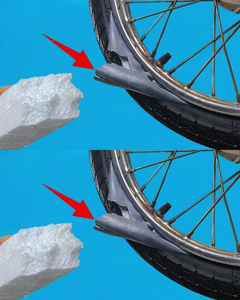 538702071 122203428374093586 9050538677370701443 N