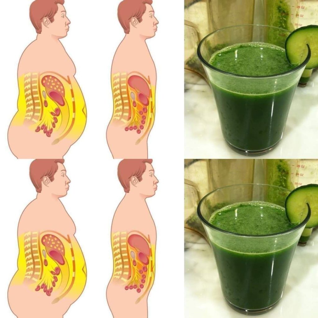 54 19