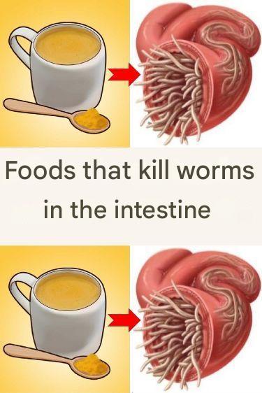 Top 7 Des Aliments Qui Tue Les Vers Dans Lintestin (1)