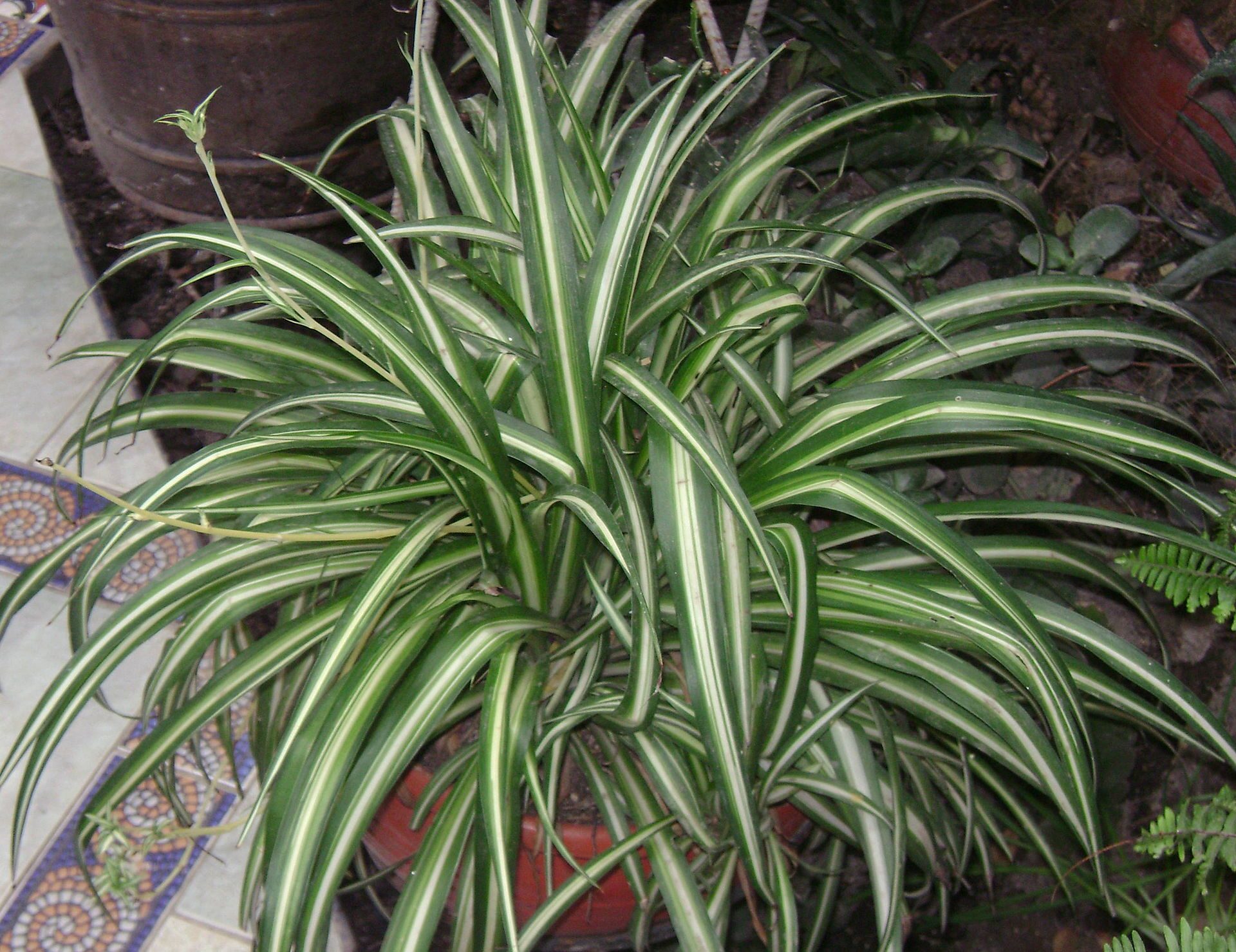 Image 9