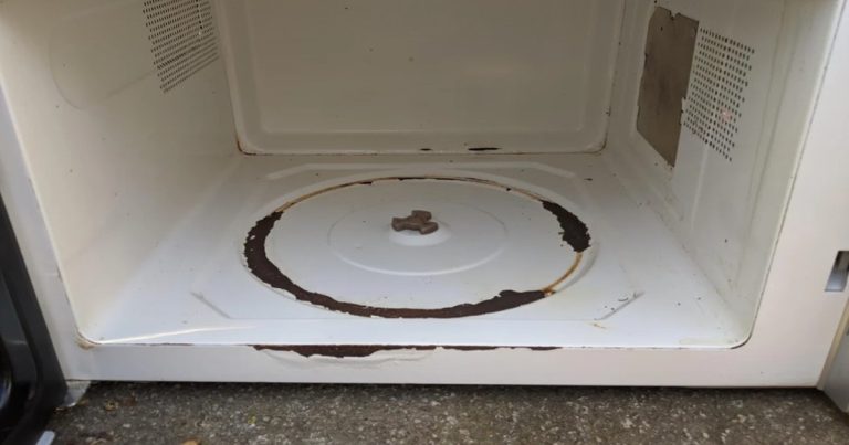 Microwave Painting