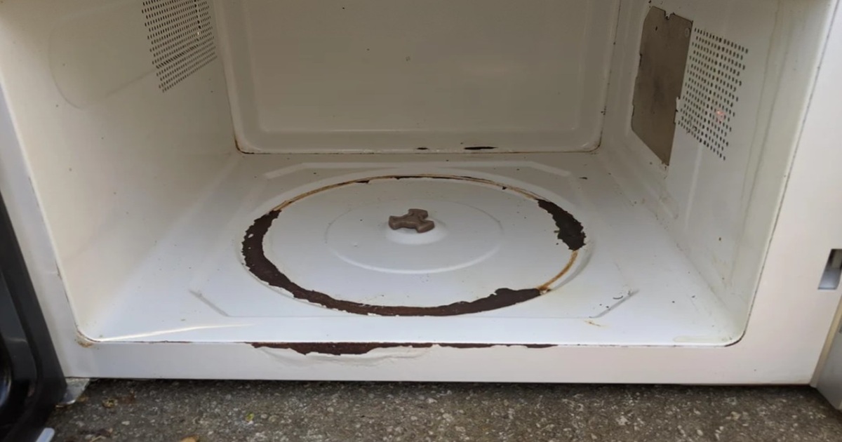 Microwave Painting