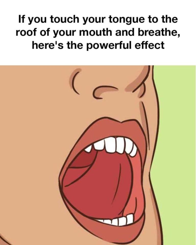 41 1