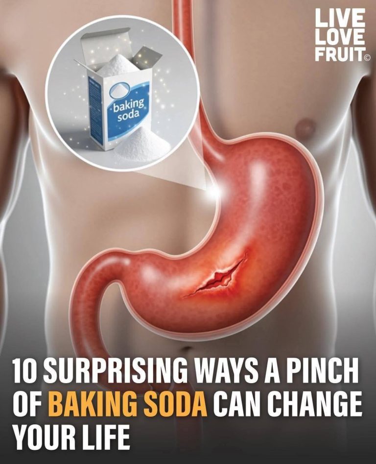 541667530 1796315834606998 1625870481143115785 N