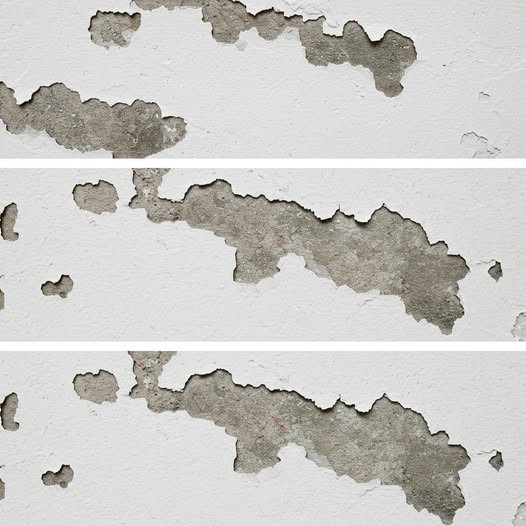 541784693 122133154172930782 5230427543288778219 N