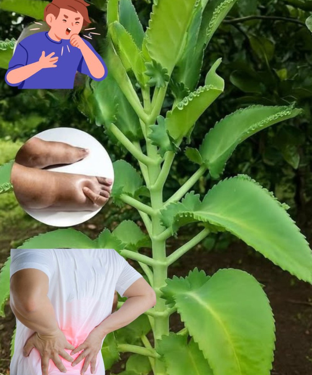 67 3
