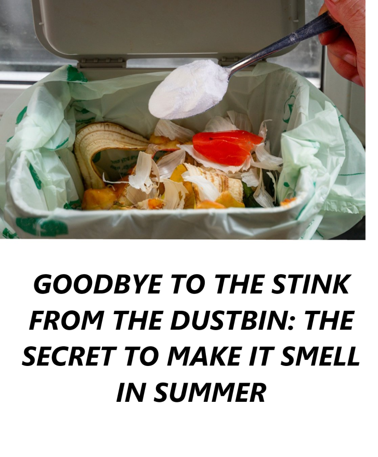 Capture Decran 2025 09 27 183255